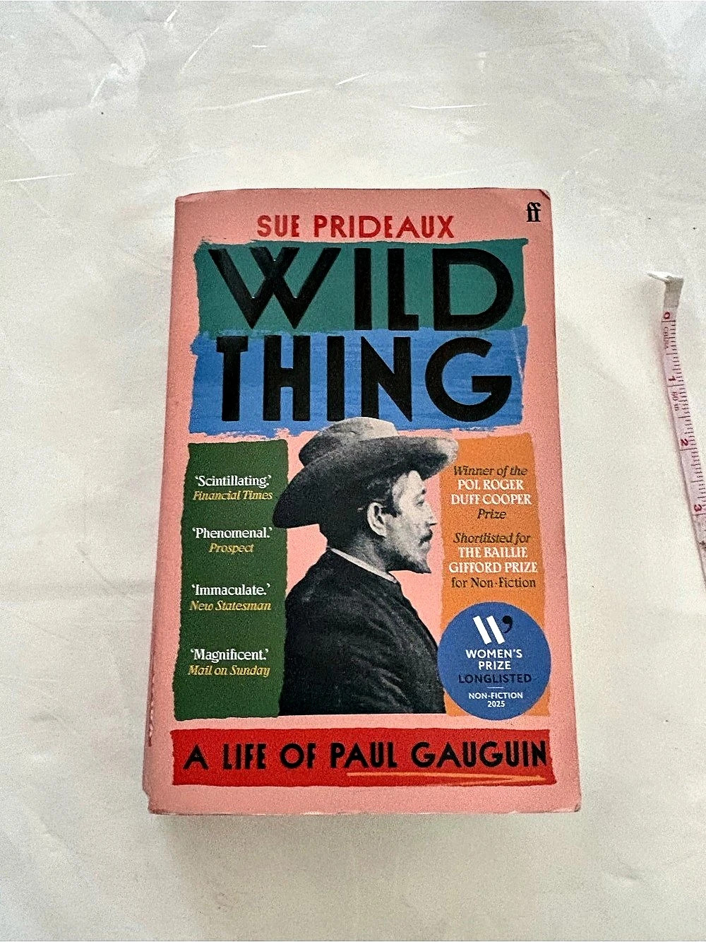 Faber & Faber Wild Thing: A Life of Paul Gauguin Book Pink & Blue